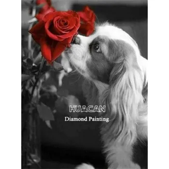 Diamantové malování HUACAN DIAMOND PAINTING - 5D DIAMANTOVÁ MOZAIKA – ČERNOBÍLÁ 14