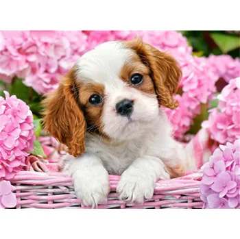 Diamantové malování DIAMANTOVÁ MOZAIKA PES 03 - SLEVA -50%