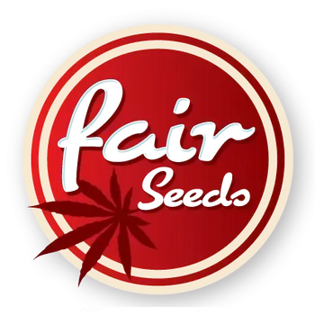 Semeno Fair Seeds Gorilla Glue Auto (Samonakvétací, feminizovaná semena Gorilla Glue auto)