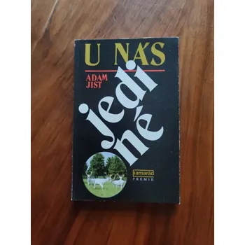 Česká hudba ADAM JIST - U nás jediné (U nás jediné)