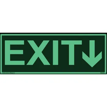 EXIT - nápis se šipkou Plast 200 x 75 mm tl. 1.1 mm - fotoluminiscenční - Kód: 00086