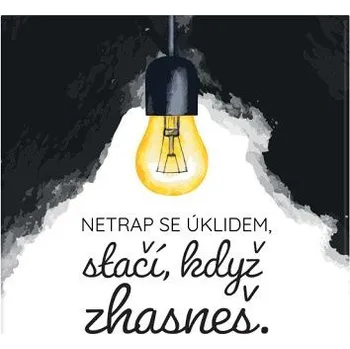 Dekorativní magnet ALBI Magnetka - Úklid