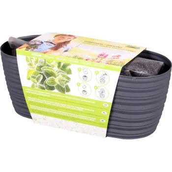 Truhlík Truhlík ZAHRÁDKA SAHARA-OREGÁNO 8810an