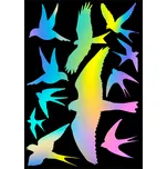 Silueta dravce - z holografické fólie fantazy rainbow - arch 30 x 40 cm, 11 dravců Dravci - Holografická samolepící fólie - 11 dravců na archu 30 x 40 cm, Kód: 25125