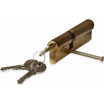 Vložka do dveří Cylindrická vložka zámku, 100 mm, 40×60 mm, mosaz