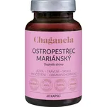 Chaganela Ostropestřec mariánský 400 mg 60 cps.