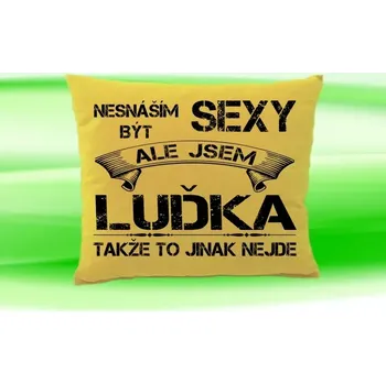 Dekorativní polštářek Polštář se jménem LUĎKA Béžový (polštářek nesnáším být sexy ale jsem ???)