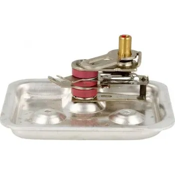 Příslušenství pro gril Termostat grilu Tefal SS-203451