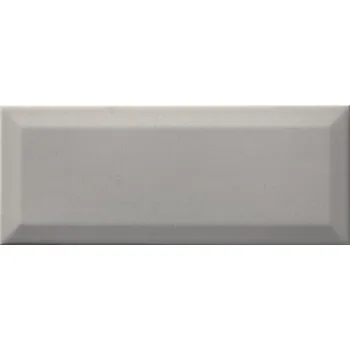 Stavební materiál RAKO CONCEPT WARGT110 10 cm x 25 cm x 0,7 cm šedá 1 ks