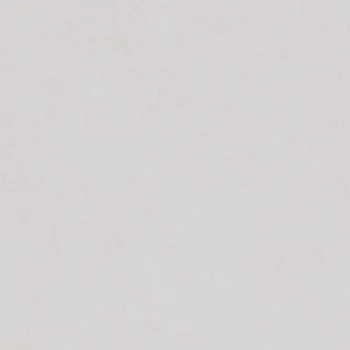 Dlažba ARGENTA REX 40273 75 cm x 75 cm x 0,9 cm šedá 1,13 m2