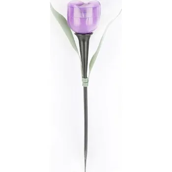 Venkovní osvětlení Solární osvětlení | venkovní svítidlo, styl tulipán - Nachový