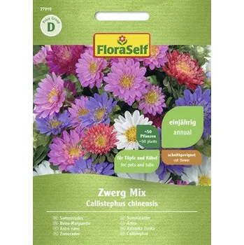 Semeno Astra čínská zakrslá mix FloraSelf