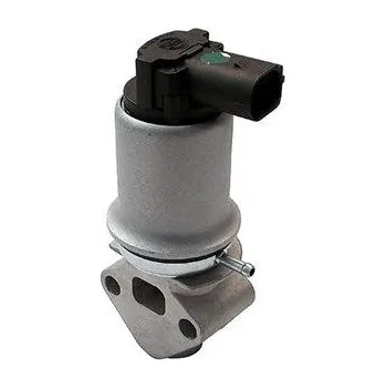 Ventil palivového systému AGR-Ventil MAGNETI MARELLI EV018