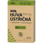 VITAR EKO Hlíva ústřičná 60 kapslí