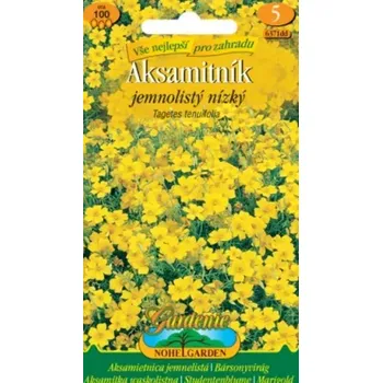 Semeno Nohel Garden Aksamitník jemnolistý nízký žlutý 100 ks