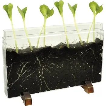 kreativní sada EDUPLAY Kořenový dům/žížalí farma