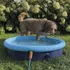 bazén pro psa Nobby Splash Pool 2v1 160 x 30 cm