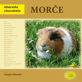 Obrázek k inzerátu: Morče - Abeceda chovatele (Nataša Velenská)