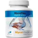 MycoMedica MycoFlex 90 kapslí (MycoFlex)