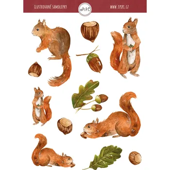Samolepící dekorace ePipí Arch samolepek Veverky A6 12 samolepek
