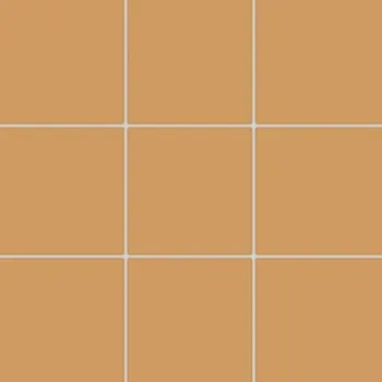 Dlažba RAKO COLOR TWO GAA0K150 10 cm x 10 cm x 0,6 cm oranžová 1 m2