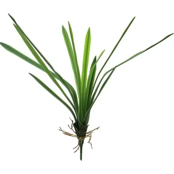 umělá květina Umělá rostlina, Dračinec - Dracena Marginata Nacncy 42cm zelený