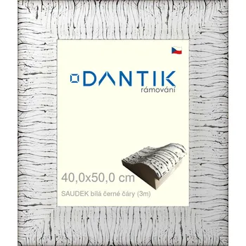 Rám na obraz DANTIK rámeček 40x50 | SAUDEK Bílá černé čáry (Sklo Čiré) (Vyrobeno s láskou u nás v DANTIKU)