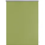 Lichtblick Termo zatemňovací roleta, od 45 x 150 cm (zelená, 80 x 220 cm)