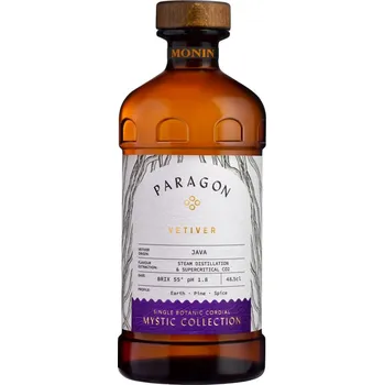Sirup Paragon Vetiver 0,485l