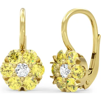 Náušnice Couple, Květinové náušnice Carin, žluté zlato se žlutými zirkony, 585-66-3-0281.0Z00.0.00.207.07