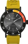 Timex Standard Diver TW2V71600