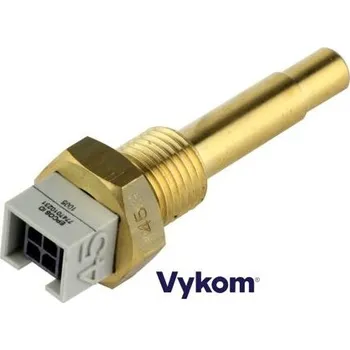 Příslušenství ke kotli Čidlo kotle G1/4 45mm, kód: 63024877