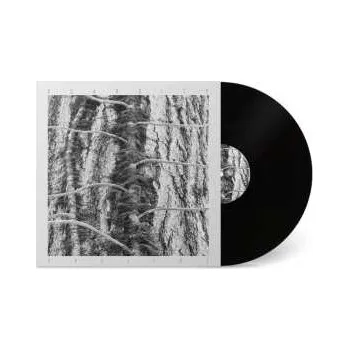 Zahraniční hudba LP Scarcity: Aveilut 2022