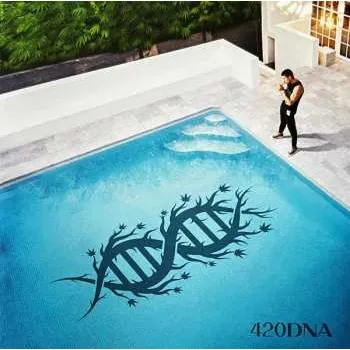 Zahraniční hudba CD ChillinIT: 420DNA 2023