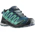 Dámská treková obuv Salomon XA Pro 3D V8 GTX W L41629600