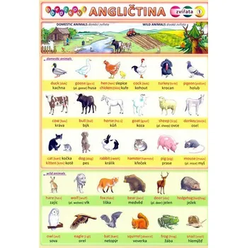 výuková tabulka Obrázková angličtina: Zvířata - Petr Kupka (2009)