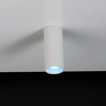 Lampička LUTEC LED stropní bodové světlo Stag, CCT a RGBW, bílá 1 x 4,7 W LED - Doprava zdarma