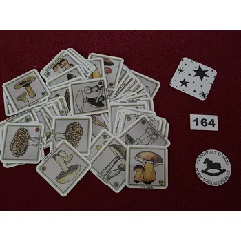 Pexeso HandMade by VeJa Pexeso vel.L č.164 - Houby (64kousků)