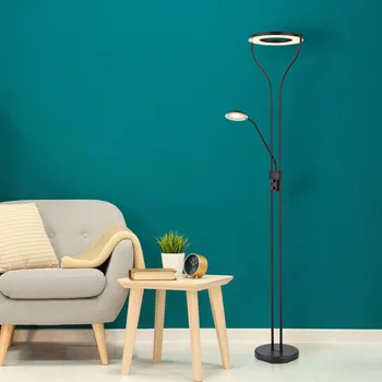 Lampička Globo Stropní svítidlo Ebro LED s LED lampou na čtení, stmívatelné - Délka zástrčkového kabelu 180 cm černá, satinovaná LED 20 W celkem + 1 x 4 W LED - Doprava zdarma