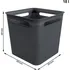 Úložný box Rotho Brisen 1024008080 18 l černý