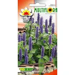 Toraf Multiflora šanta kočičí Nepeta…