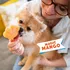 Pamlsek pro psa Smoofl Mix For Dog Ice zmrzlina pro psy Magic Mango 10 ks