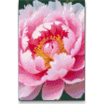Diamantové malování Diamantové malování - Květ pivoňky Velikost: 20x30cm, Rámování: Pouze srolované plátno, Diamanty: Čtvercové