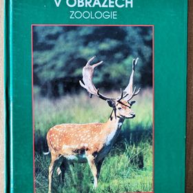 Obrázek k inzerátu: Myslivost v obrazech, Josef Lochman