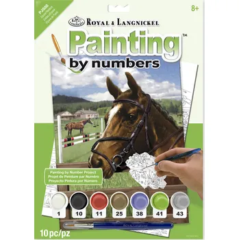 Malování podle čísel 22x30 cm - Kůň v ohradě