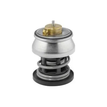 Autoelektrika Termostat, chladivo BorgWarner (Wahler) 412253.88D