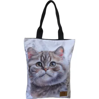 Taška s kočkou, 3B