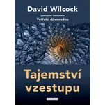 Tajemství vzestupu - Wilcock David…