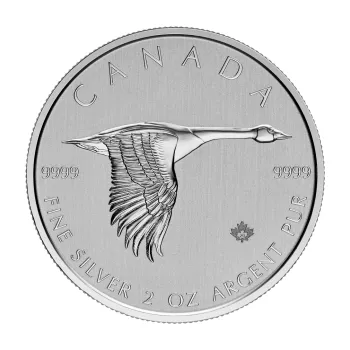 2 unce stříbrná mince Kanada - Kanadagans 2020