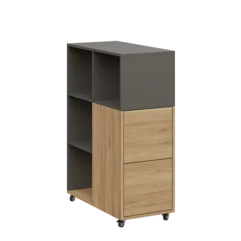 Šatní skříň AERO 32 P kancelářská skříň, 2-dveřová/4 niky, pravá, 1100x400x800, kolečka, lávově šedá/dub fjord